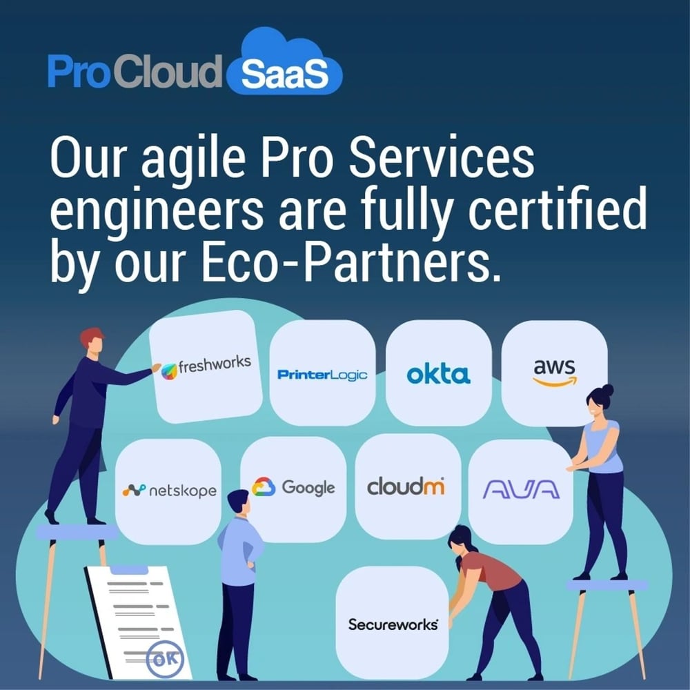 Pro Cloud Saas